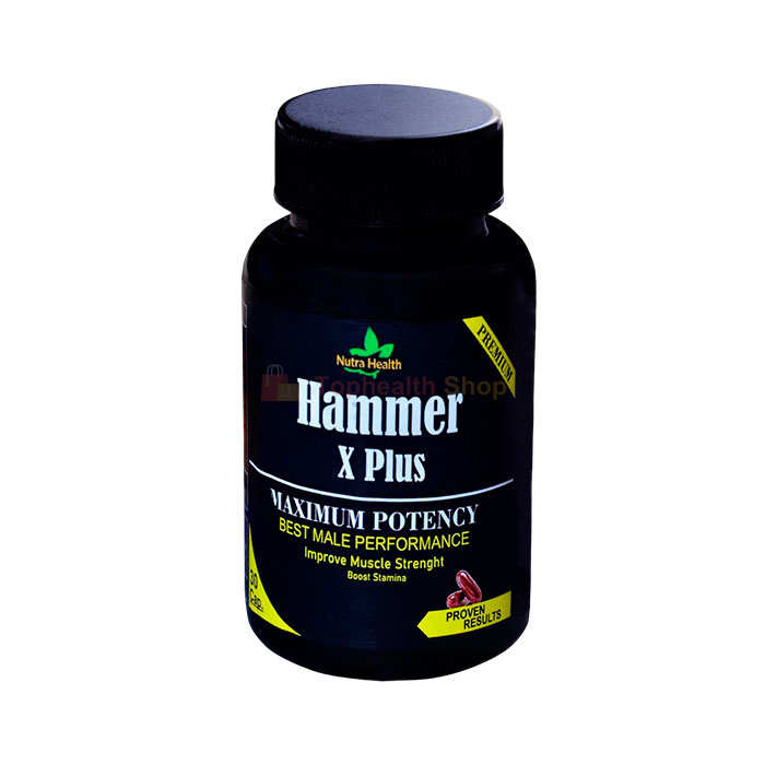Hammer X Plus